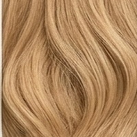 Honey Wheat Blonde
